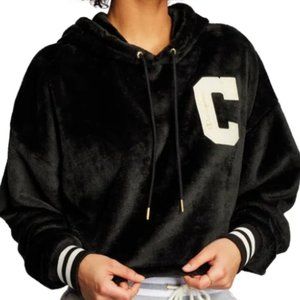 Champion cropped hoodie